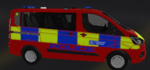 The State Medical Service