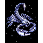 the ice scorpions