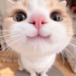 ❀