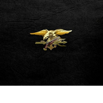 NAVY SEALs+