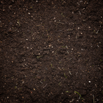 The Soil Hierarchy