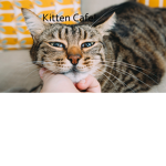 Kitten Cafe!