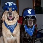The Team Crack