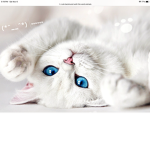 ~~~~~~~Animals~~~~~~~