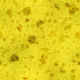 Sponge city