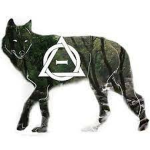 Therians/otherkin