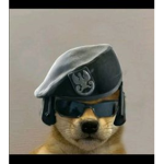 The Soviet dogs training service