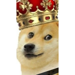 Doge warriors epic