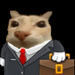 this UGC is good