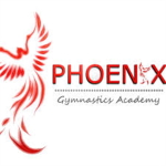 Phoenix Elite Gymnastics