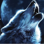 Wolf Army!!!!!
