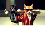 The Real Cat Mafia