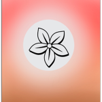 Summer Blossom Boutique