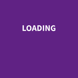 The Endless Loading Screen...