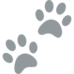 ♡ FREE kawaii puppy paws aura filter blue