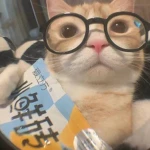 Meow Forge Group Thumbnail