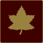 1st Canadian Brigade﹒