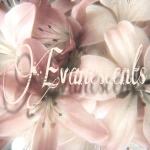 Evanescents Group Thumbnail