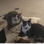 EML And friend