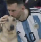 Palomas inválidas