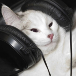 Pro And Noob Roblox Gamer Groups