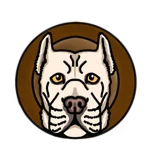 Cane Corso Exclusive Skins