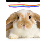 Pride Bunnies!