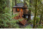 Crow's Treehouse :D