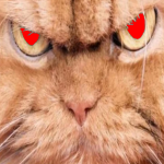 cat invaders