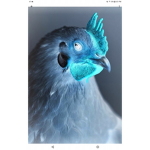 Say hi to my evil chicken