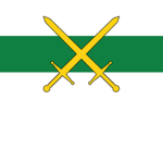 29th Continental Lixght Infantry Battalion