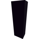 torso