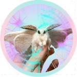 Moth Buddies