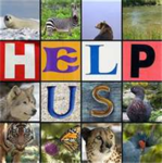 Stop the Tiger Hunters