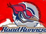 Official Orlando Road Runner Group