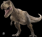 The dinousaur crew :)