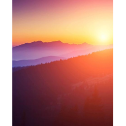 Calm