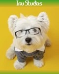 Inu Studios Inc.