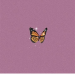 Butterfly Besties