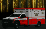 Rabun County Fire Department Group
