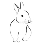 Rabbit Roblox