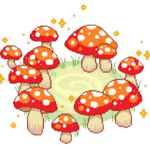 the nice little mushrooms