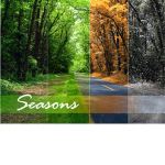Season Special!