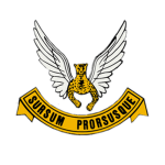 8 Squadron SAAF