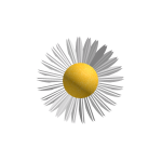Daisy Hair Clip