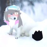 Snowie's group!