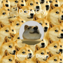 Doge City! ( Work in progress )