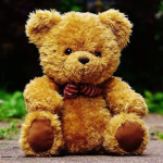 Teddy fan's club