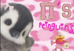 It's penguins
