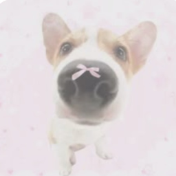 𝗪𝗢𝗢𝗙